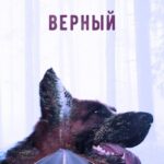 Верный Постер