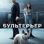 Бультерьер Постер